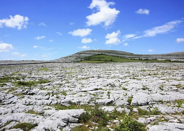 Guest Гостевой дом